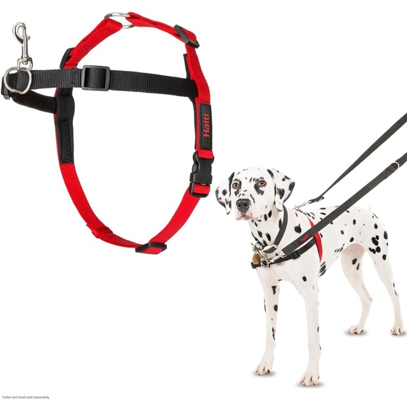 Halti dog harness size M - Picture 1 of 4